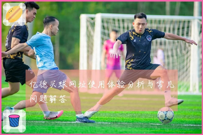 亿德买球网址使用体验分析与常见问题解答