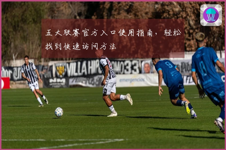 五大联赛官方入口使用指南，轻松找到快速访问方法