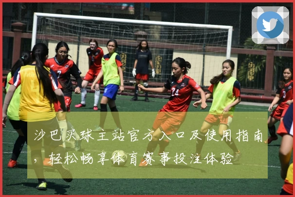 沙巴买球主站官方入口及使用指南，轻松畅享体育赛事投注体验