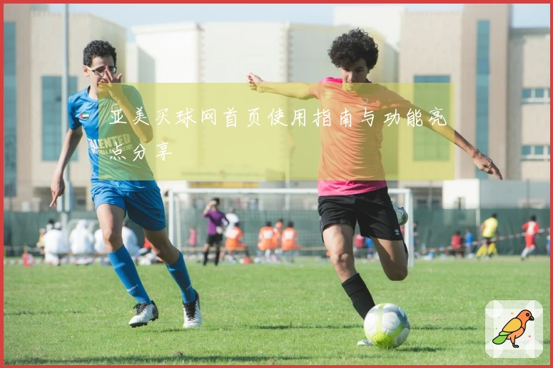 亚美买球网首页使用指南与功能亮点分享